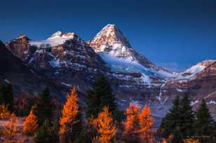 Mt. Assiniboine in alpine glow-1374 Mt. Assiniboine in alpine glow-1374